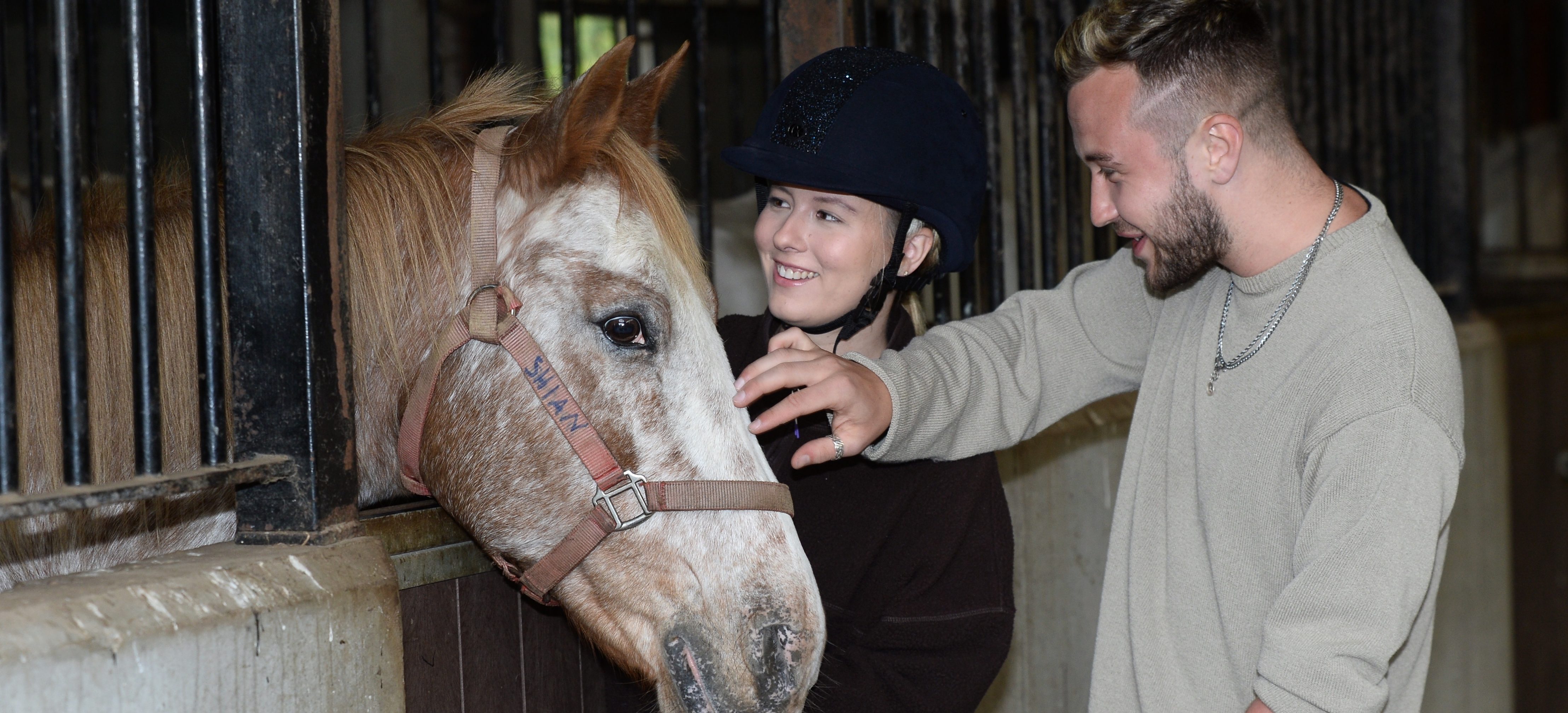 Man and woman petting a horse